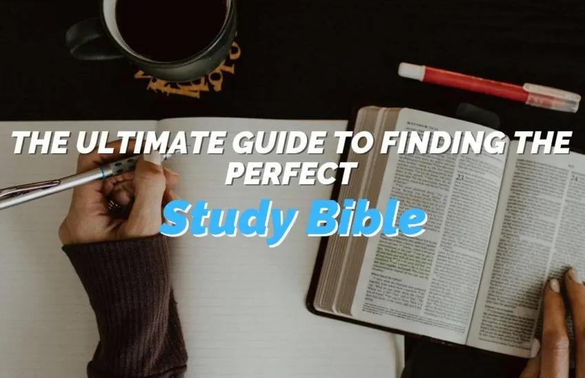 Study Bibles